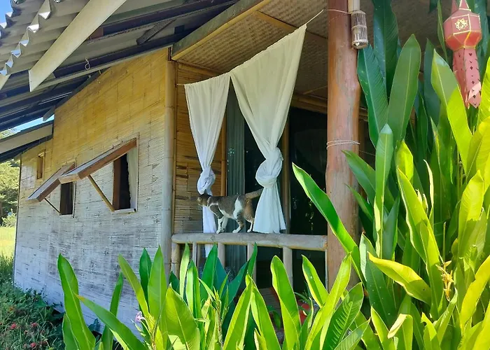 Tulip Resort Pai