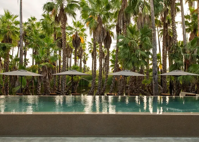 Nest Los Cabos
