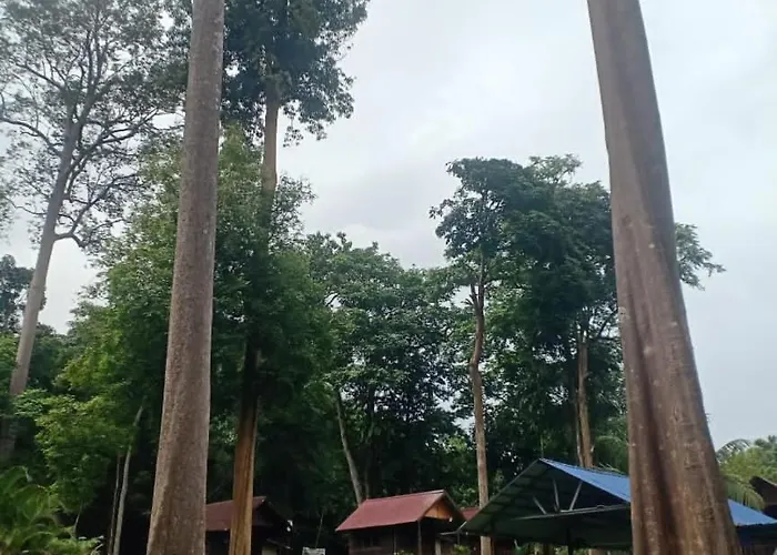 Gandah Forest Park Chalet