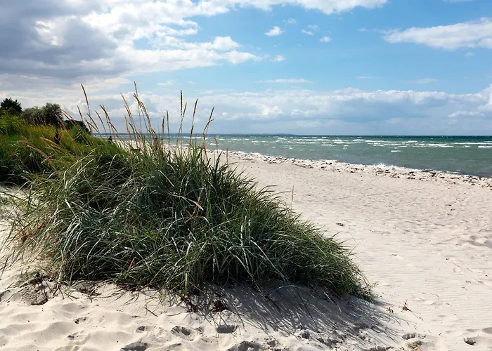 Doppelhäuser zum Reetmoor Haus Kirsten