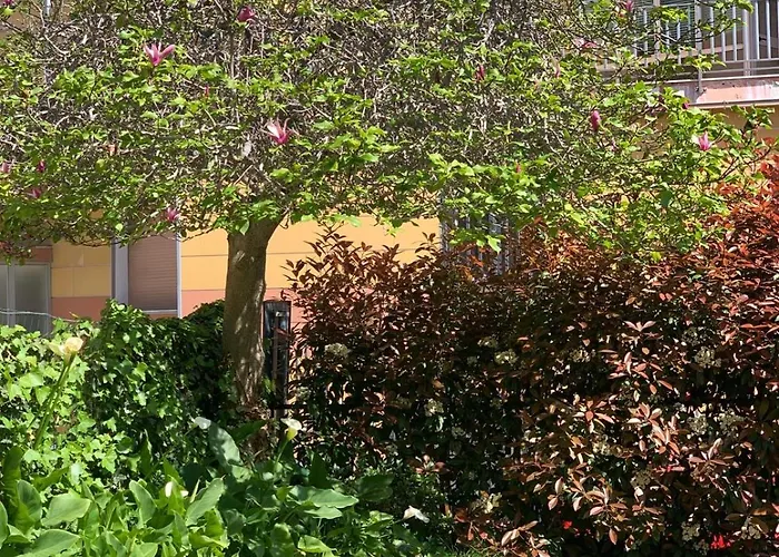 B&B La Magnolia