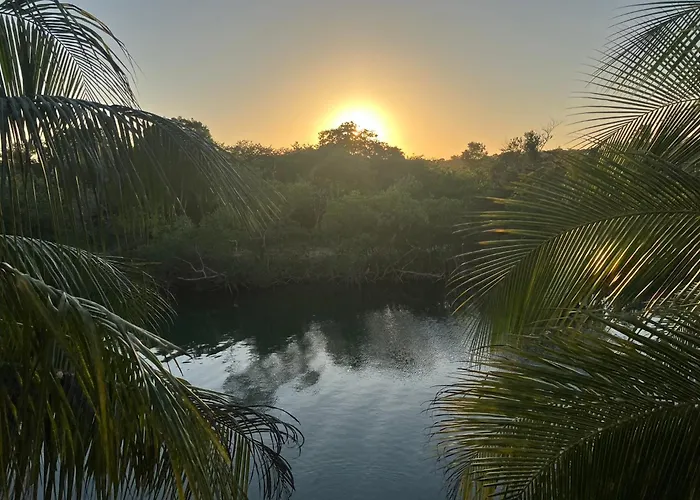 In The Tropics By The Sea
