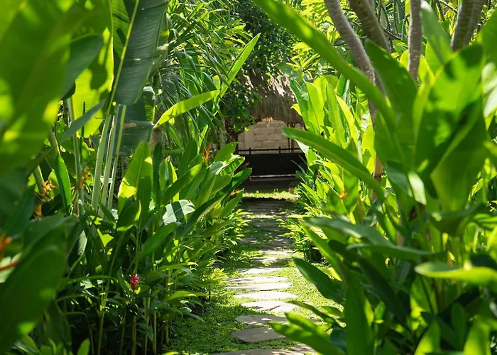 Kayu Village