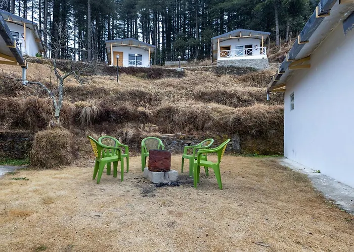 The Deodar Stays
