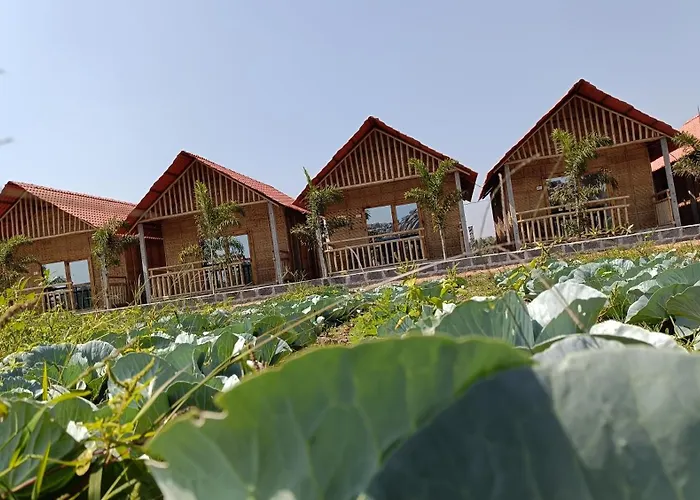 Osho'S Organic Resort Hampi