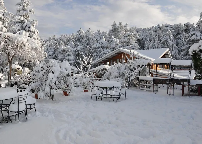 The Chalets Naldehra