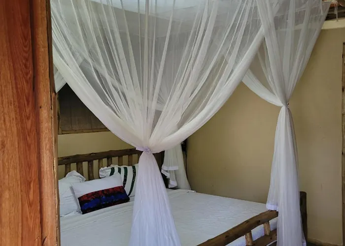 Songbird Safari Lodge & Campsite