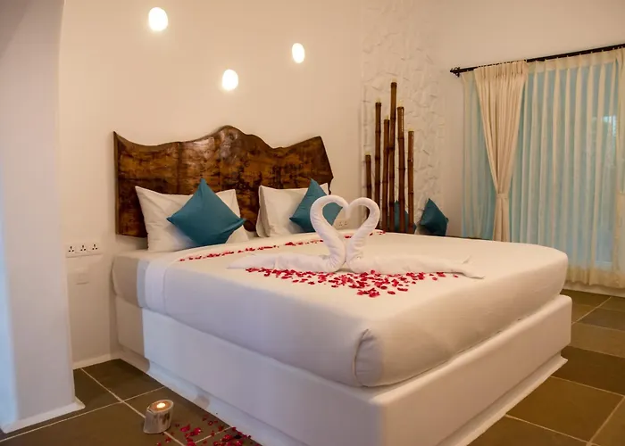 Conch Resort Luxury Private Pool Suites