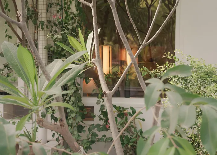 Pushkarorganic - Lux Farm Resort With Pool