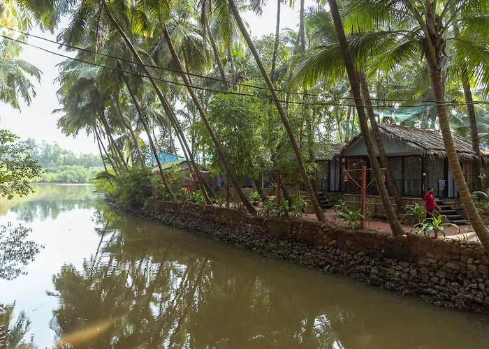 Palm Trees Ayurvedic Heritage
