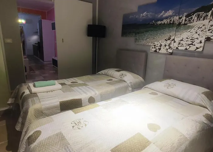 Musa Balbisiana Casa Olea