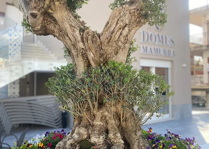 Domus Mamurra