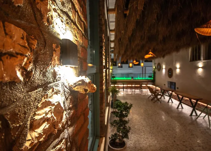 Vega 43 Hostel