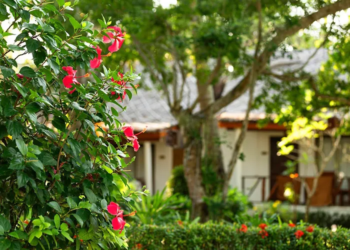 Lipa Lodge Beach Resort