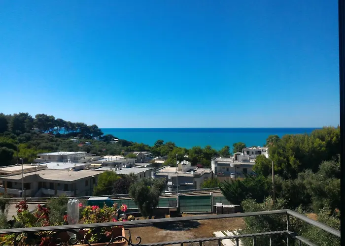 Ibisco Hotel