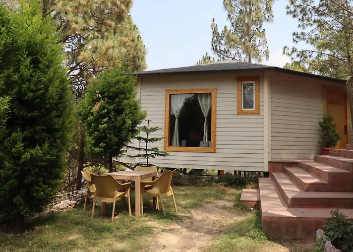 The Woods Retreat