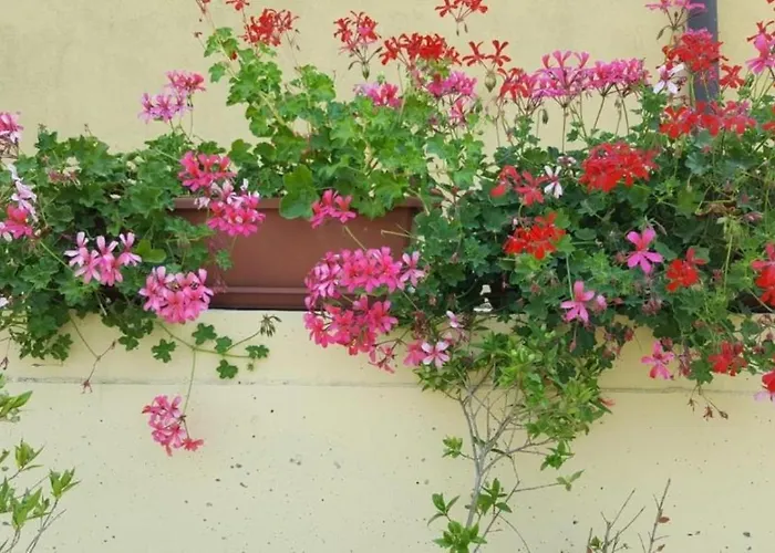 La Smeralda - Boutique Rooms And Breakfast