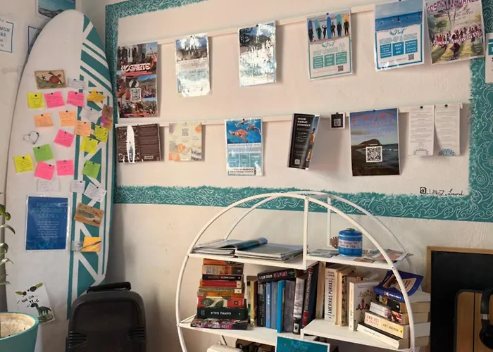Ashavana Nest Hostel