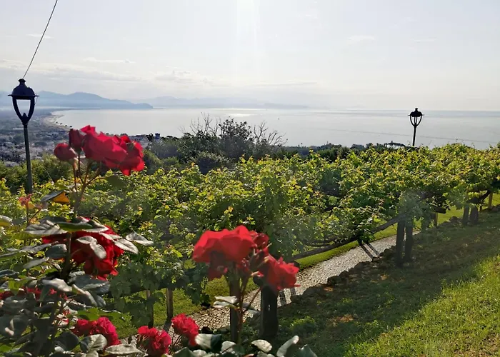 Tiny Circe house - alloggio turistico