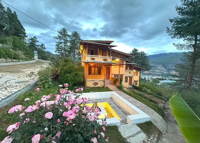 Dzi Pema