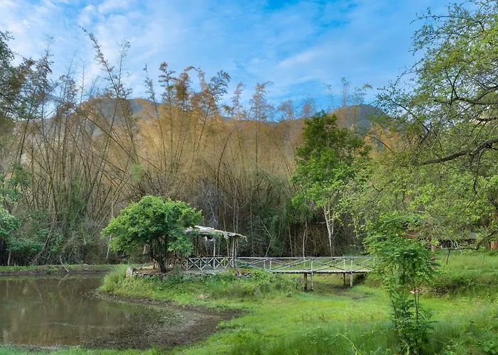 Jungle Hut Resort