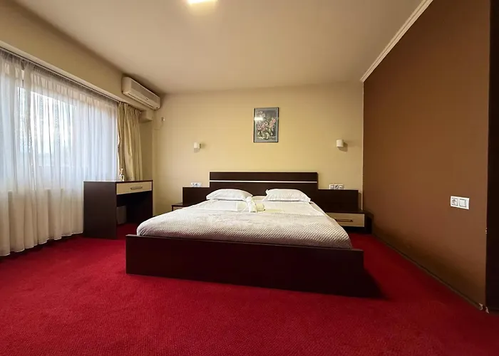 Hotel Q Art Severus