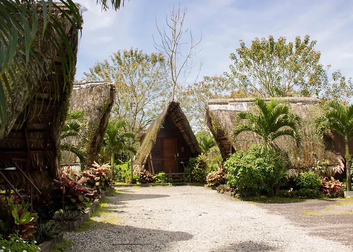 Termales Del Arenal