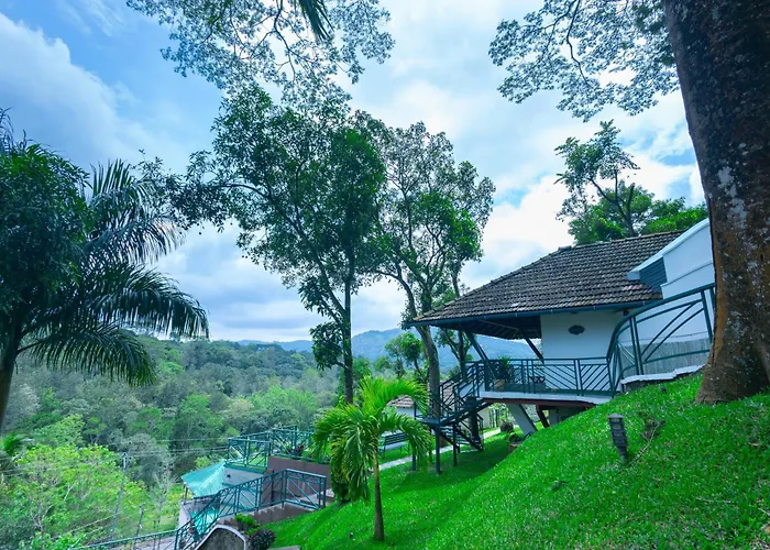 Forest Canopy Thekkady