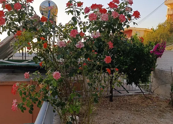 Sole Inn