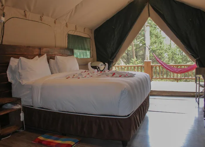 Kuriftu Entoto Adventure Park