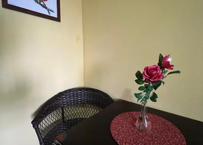 Pousada Morango Das Palmas