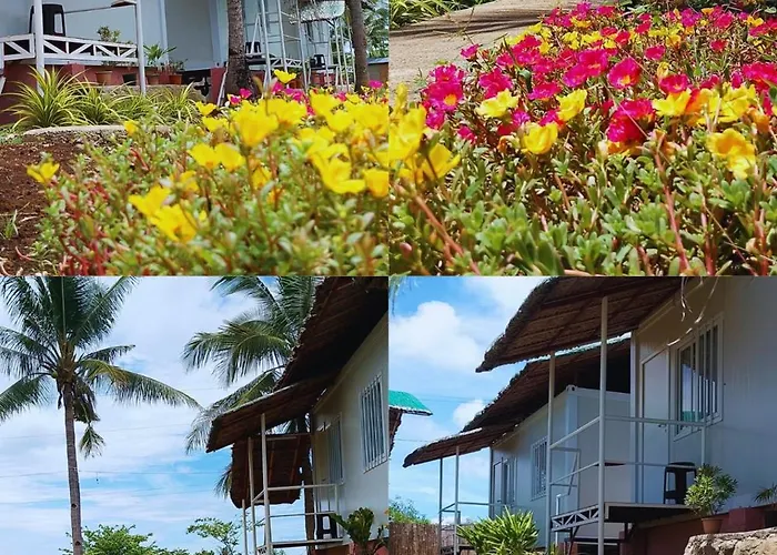 Anda Container House