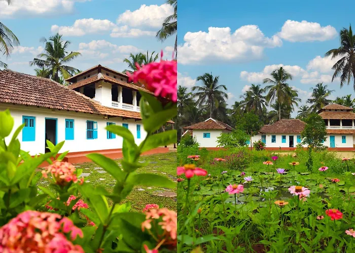 Aavi Beach Retreat, Nileshwar