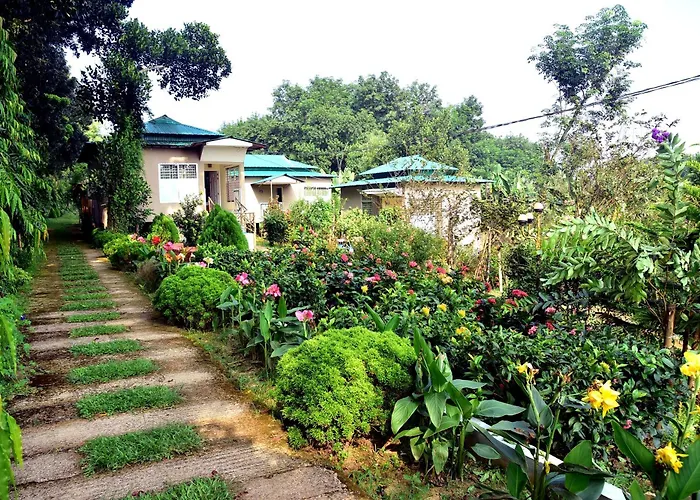 Tea Heaven Eco Cottage