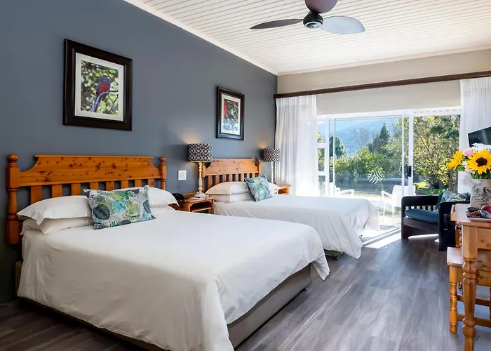 Anew Resort Ingeli Forest Kokstad
