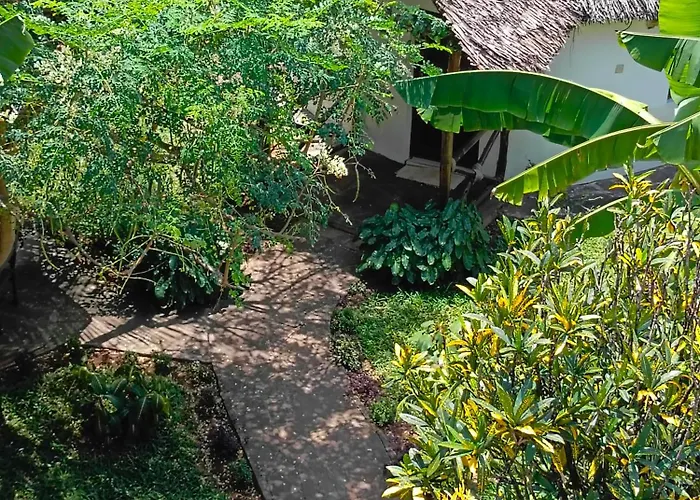 The Makuti Breeze House