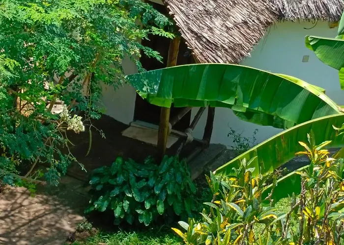 The Makuti Breeze House