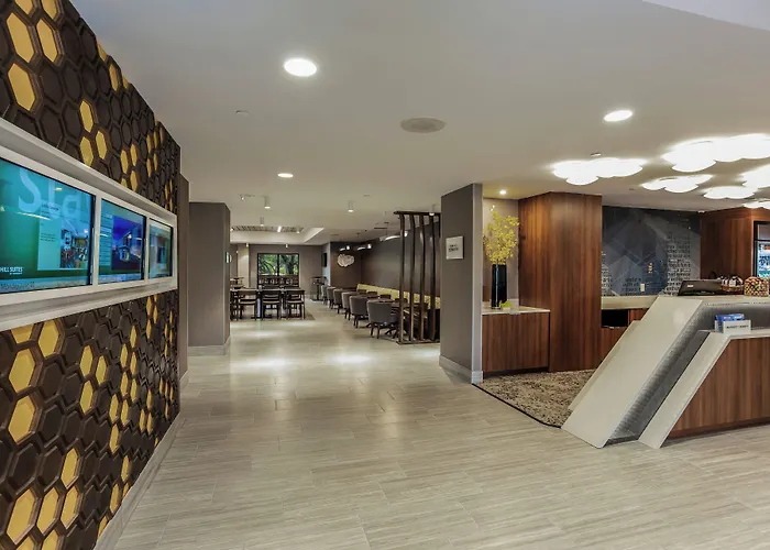 Springhill Suites By Marriott Austin The Domain Area