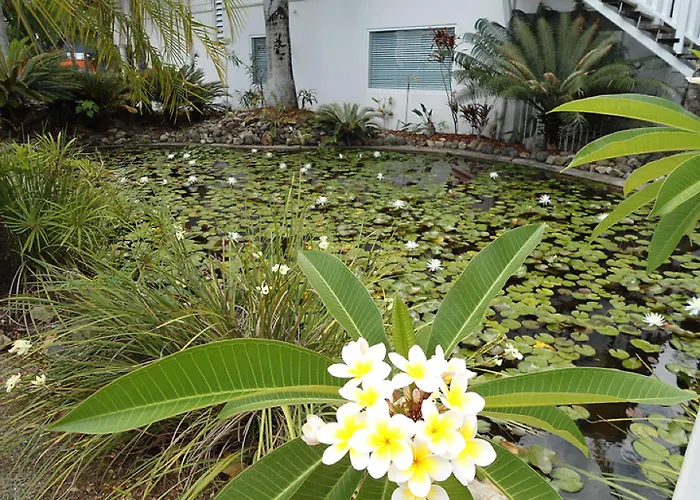 Mango House Resort