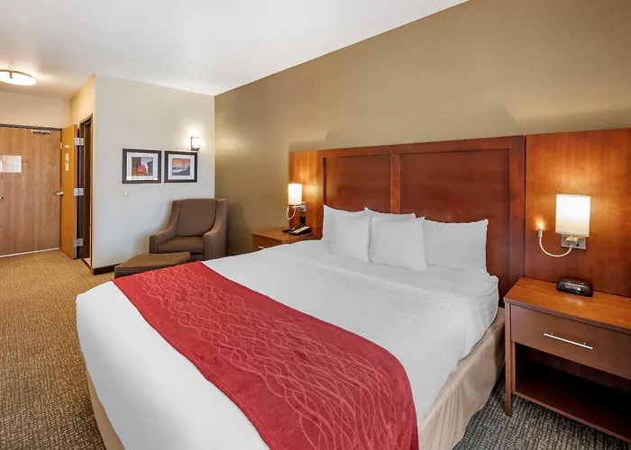 The Atrium Hotel Sfo Airport - Free Shuttle & Breakfast