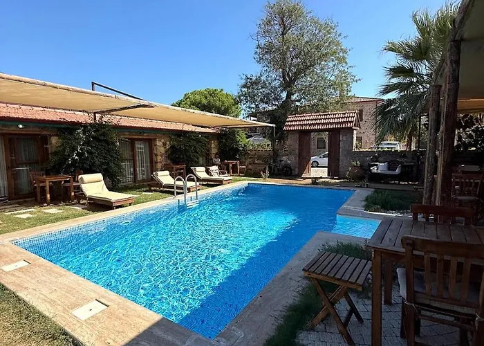 Pet Friendly Pool Suites