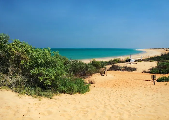 Eco Beach Wilderness Retreat