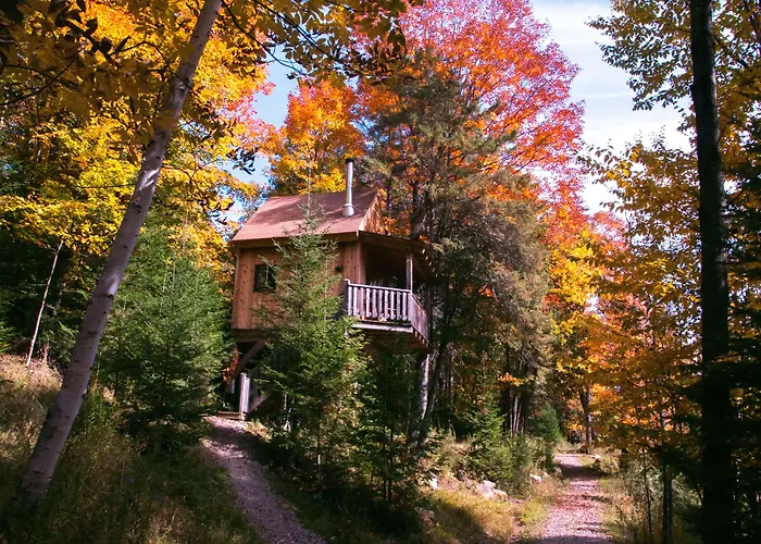 Les Cabanes Du Trappeur Avec Spa Et Sauna
