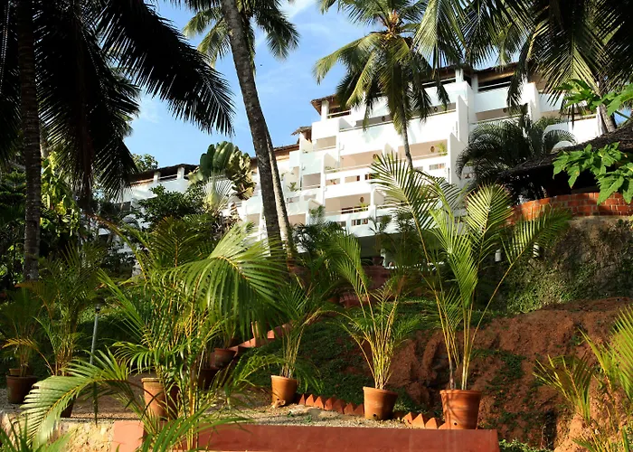 Soma Palmshore