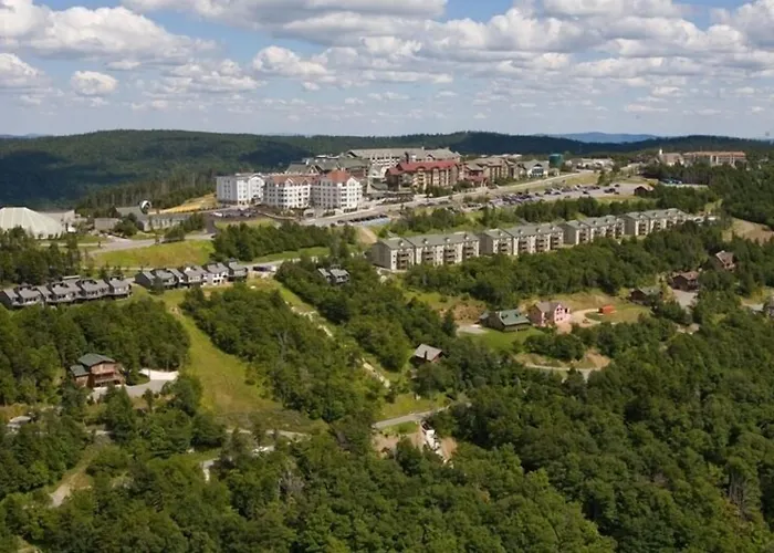 Allegheny Springs