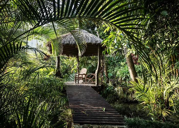 Yasmin Hill Longevity Oasis