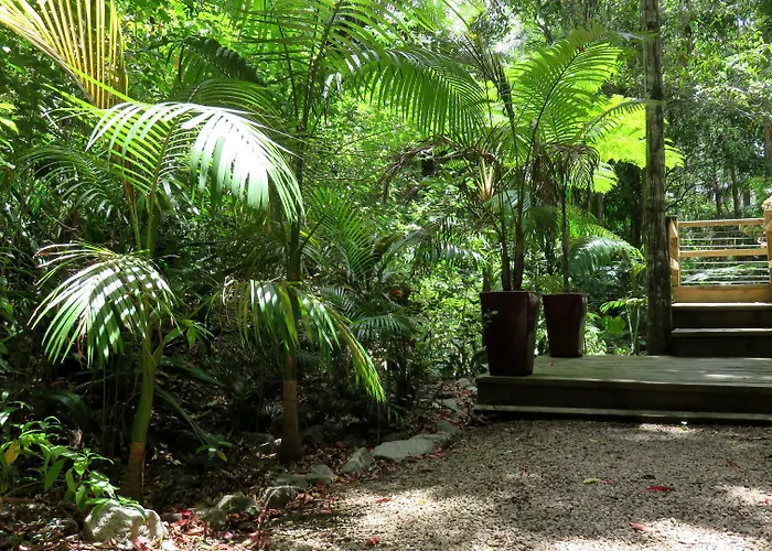 Treetops Montville