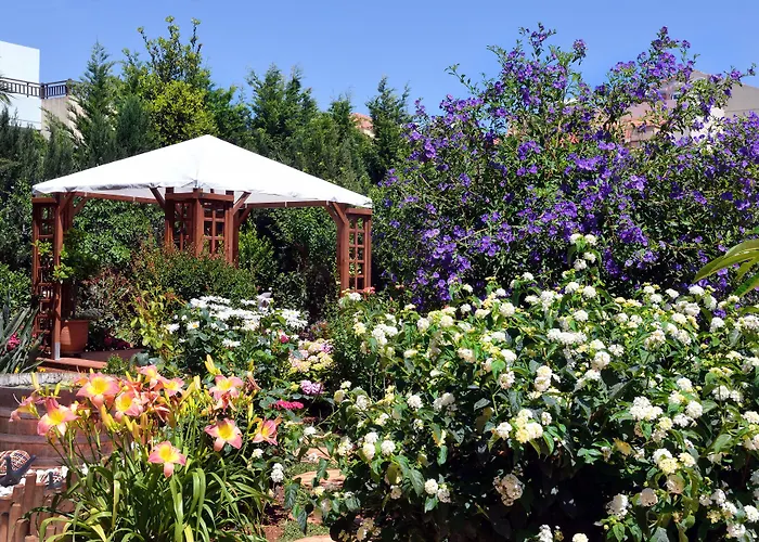 Stamatakis Boutique Studios