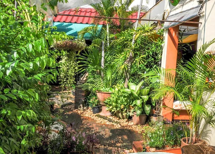 All In 1 Guesthouse & Tours