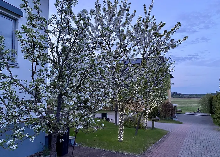 Hotel am Müritz-Nationalpark